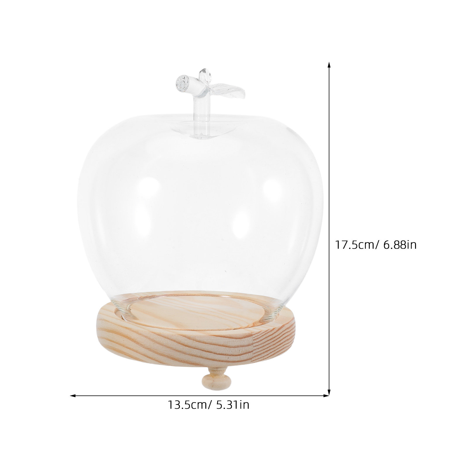 1 set glazen stolp, clochevorm - Plastic Dome Clear recensie en prijs